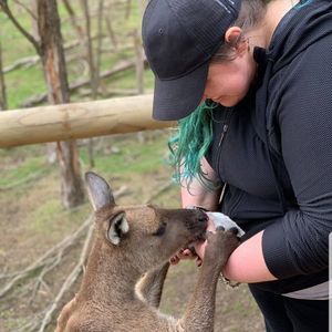 Meet your Posher, Casey